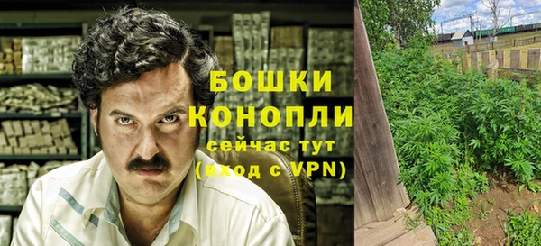 прущие крисы Карпинск