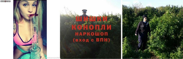 герыч Касимов