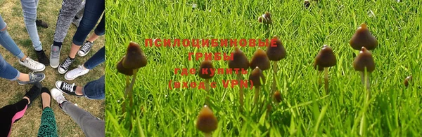 прущие крисы Карпинск