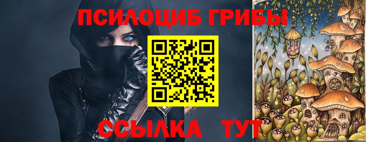 магазин продажи наркотиков  Галлюциногенные грибы GOLDEN TEACHER  Подольск  Вход с VPN  Галлюциногенные грибы GOLDEN TEACHER 